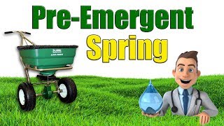 When to Put Down Spring Pre Emergent [upl. by Iruy]