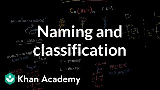 Carbohydrates  naming and classification  Chemical processes  MCAT  Khan Academy [upl. by Adleme]