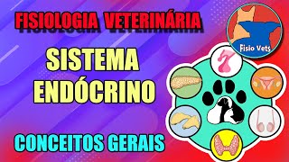 Sistema endócrino  Introdução  Fisiologia veterinária  Aula 1 [upl. by Eitsrik]