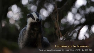 Lumière sur le blaireau… [upl. by Arahat]