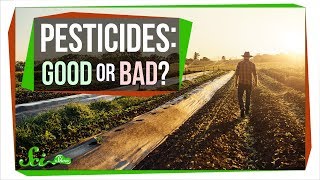 How Safe Are Pesticides Really [upl. by Wende403]