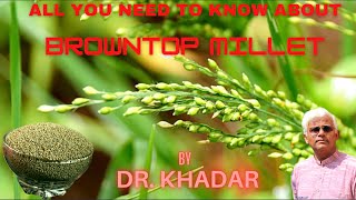 Everything You Need to Know About BROWNTOP MILLET  Dr KHADAR [upl. by Tyre98]