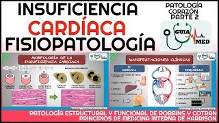 INSUFICIENCIA CARDÍACA FISIOPATOLOGÍA  GuiaMed [upl. by Enrahs]