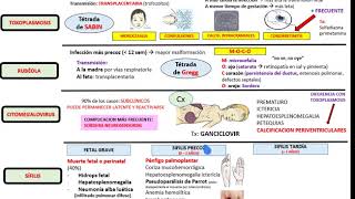 infecciones congénitas  TORCHs RESUME [upl. by Dorran557]