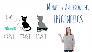 What is epigenetics [upl. by Ikkin]