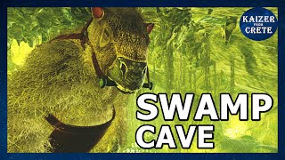 How to run SWAMP CAVE on the Island  LVL 68100 [upl. by Adian750]