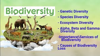 biodiversity its types alpha beta gamma diversity importance amp loss of biodiversity [upl. by Aiuqes136]