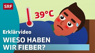 Fieber Darum erhöht sich unsere Temperatur – einfach erklärt  Kindervideos  SRF Kids [upl. by Neile]