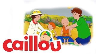 Caillou  Backyard Zoo S02E17  Cartoon for Kids [upl. by Anderson]