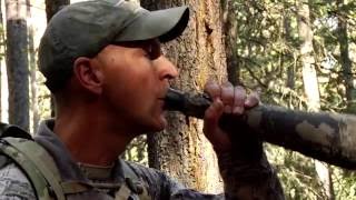 Corey Jacobsens Elk Calling Basics [upl. by Isleana4]