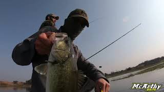 Crocodile grabs bait whilst Bass Fishing at Roodekoppies Dam [upl. by Newel]