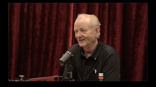 Joe Rogan Experience 2282  Bill Murray [upl. by Lucina]