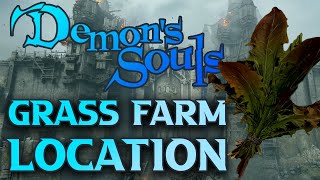 Demons Souls Farming Healing Items GRASS [upl. by Yunfei]