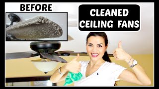 How to Clean Dusty Ceiling Fan  Real Life Mess [upl. by Lepper733]