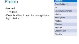 How to Read a Urinalysis Result [upl. by Cozmo]