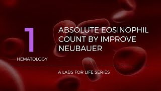 ABSOLUTE EOSINOPHIL COUNT BY IMPROVE NEUBAUER [upl. by Atisusej936]