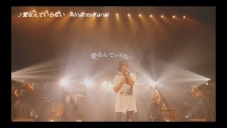 SAYAKA YAMAMOTO LIVE TOUR 2020 digest movie [upl. by Anemij]