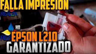 🛑Impresora Epson L210 no imprime  ✔SOLUCIONADO✔ [upl. by Eaner]