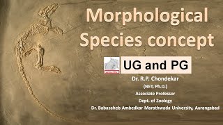 Morphological species concept [upl. by Allebram853]