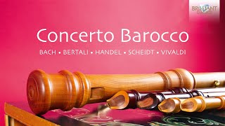 Concerto Barocco [upl. by Oneg]