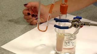 Rate of Respiration in Yeast [upl. by Cross]