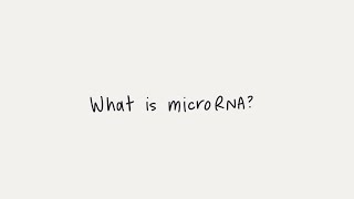 What is microRNA miRNA [upl. by Tfat]