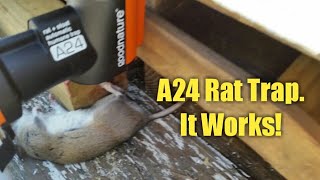 A24 Rat Trap from GoodNature Review [upl. by Sakul]