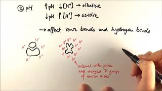 AS Biology  Factors affecting enzyme activity OCR A Chapter 42 [upl. by Enihpets]