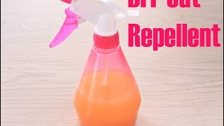 DIY CAT REPELLENT [upl. by Aggarwal]