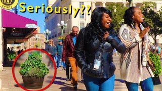 Bushman Prank 2020 Ultimate Best of Video [upl. by Lammaj641]