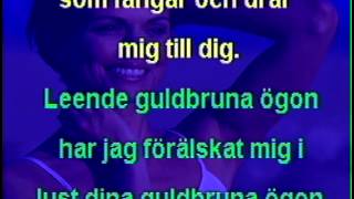 Leende guldbruna ögon karaoke [upl. by Dlopoel407]