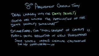 The Eighth Amendment  National Constitution Center  Khan Academy [upl. by Dlanod]