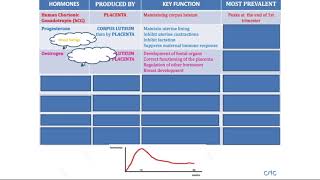 Physiology of pregnancy hormones hCG Oestrogen Progesterone Relaxin HPL Oxytocin Prolactin [upl. by Aneez469]