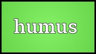 Humus Meaning [upl. by Schnorr]