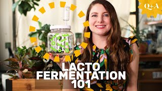 Fermentation 101 Guide to Lacto Fermenting Foods [upl. by Vins742]