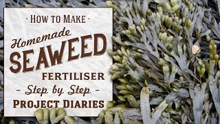 ★ How to Make Seaweed Fertiliser A Complete Step by Step Guide [upl. by Leira610]