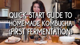 Quick Start Guide to Homemade Kombucha First Fermentation [upl. by Darcey]