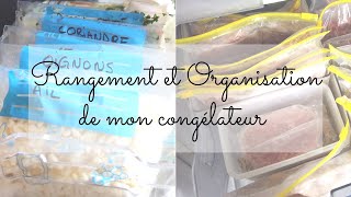 MON ORGANISATION ET RANGEMENT CONGÉLATEUR [upl. by Winshell514]