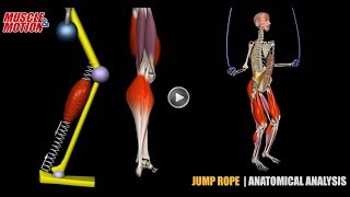 Jump Rope  Anatomical Analysis  Active Muscles [upl. by Notslah]