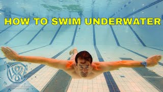 How to swim underwater [upl. by Delainey]