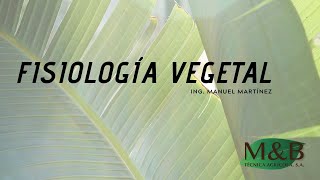 Introducción a la Fisiología Vegetal [upl. by Proulx]