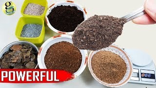 Best DIY Fertilizer Mix Recipe Universal Allpurpose Mixed Fertilizer Powder [upl. by Llecram]