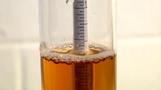 How to Use a Hydrometer for Homebrewing [upl. by Gianni]