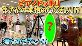 【ストリートピアノ】ピアノドッキリ！まさかの本物の○○乱入！？『君をのせて』ジブリ 天空の城ラピュタより 〔万博記念公園駅ストリートピアノ〕 [upl. by Yarb]