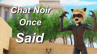 Chat Noir once said [upl. by Gabriell]