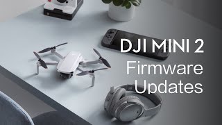 DJI Mini 2  How To Update the Firmware [upl. by Bovill]