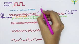 Understanding the EEG [upl. by Enamrahc]