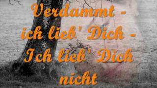 Matthias Reim  Verdammt ich lieb dich lyrics [upl. by Eelanaj]