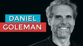 DANIEL GOLEMAN E A INTELIGÊNCIA EMOCIONAL  RODRIGO FONSECA [upl. by Nesyla]