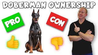 Doberman Pinscher Pros and Cons  From an ACTUAL Owner [upl. by Gilead]